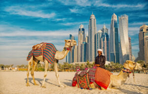 Affordable Abu Dhabi Tour Packages for International Travelers – Luxury on a Budget